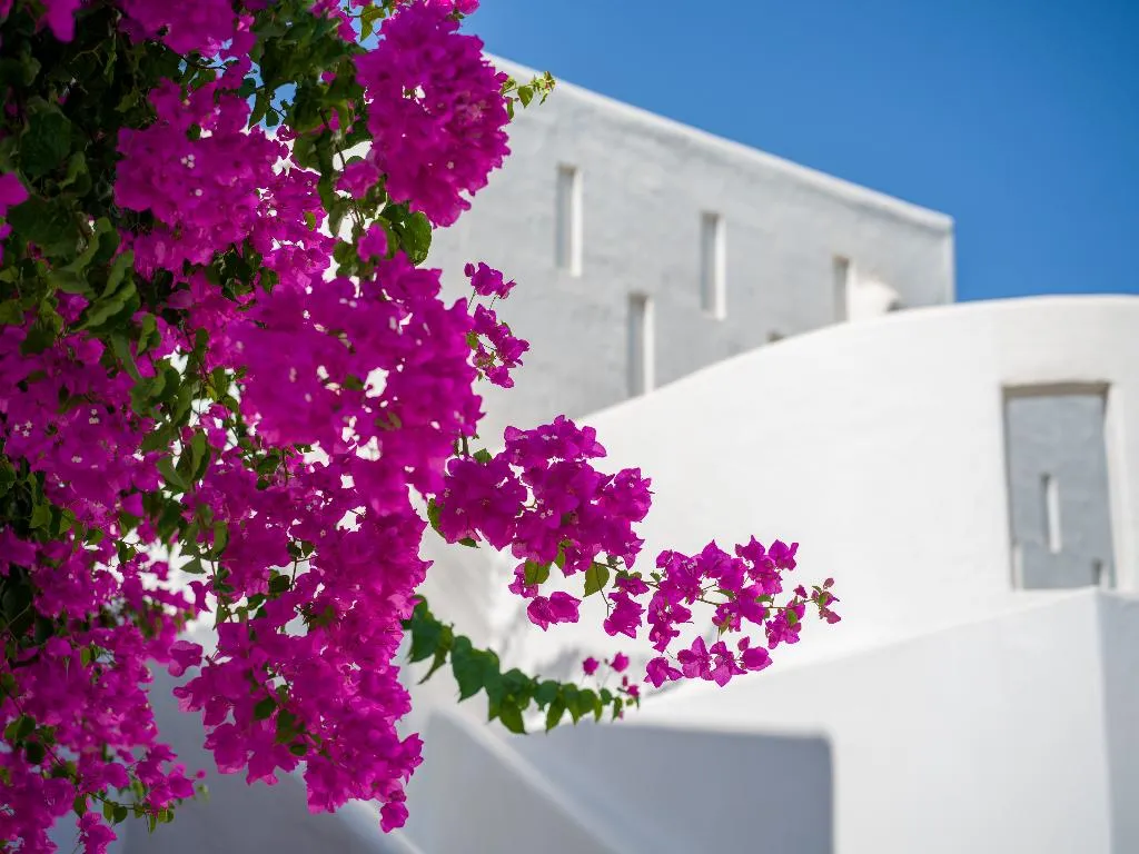 General view, Knossos Beach Bungalows & Suites, Crete