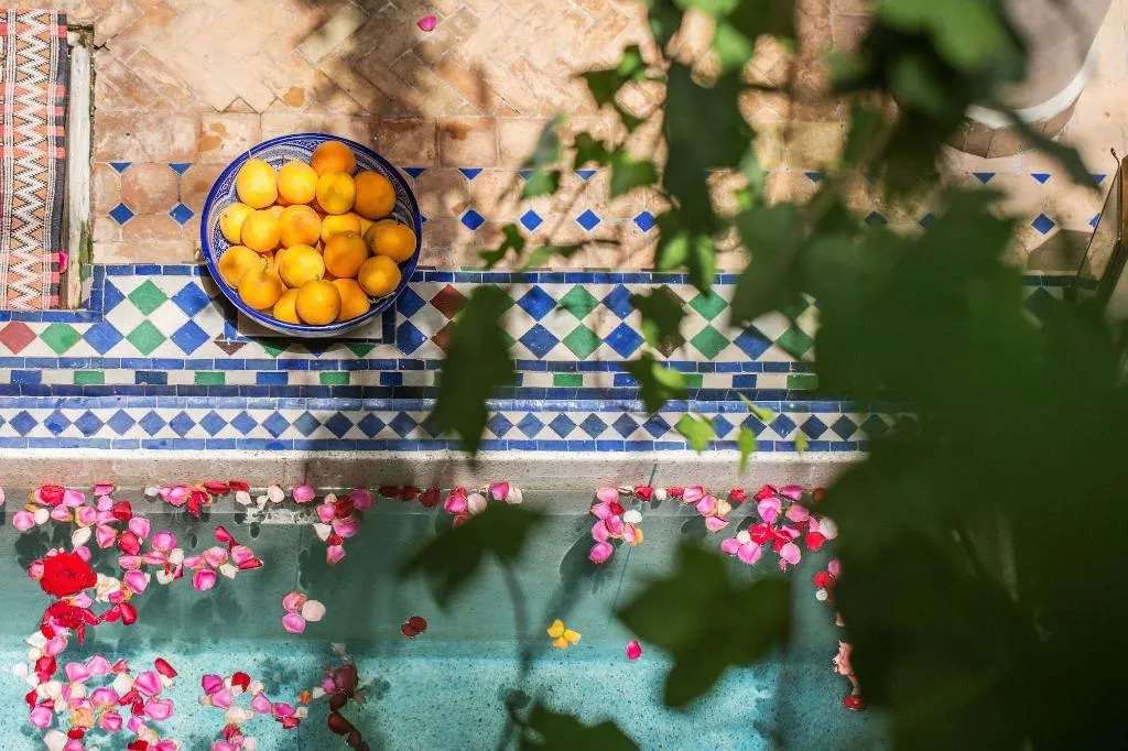 General view, Riad Tamarrakecht, Marrakech