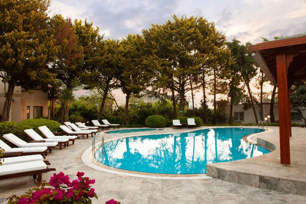 Pool, TheLifeCo Wellbeing Bodrum Center - Adults Only, Bodrum
