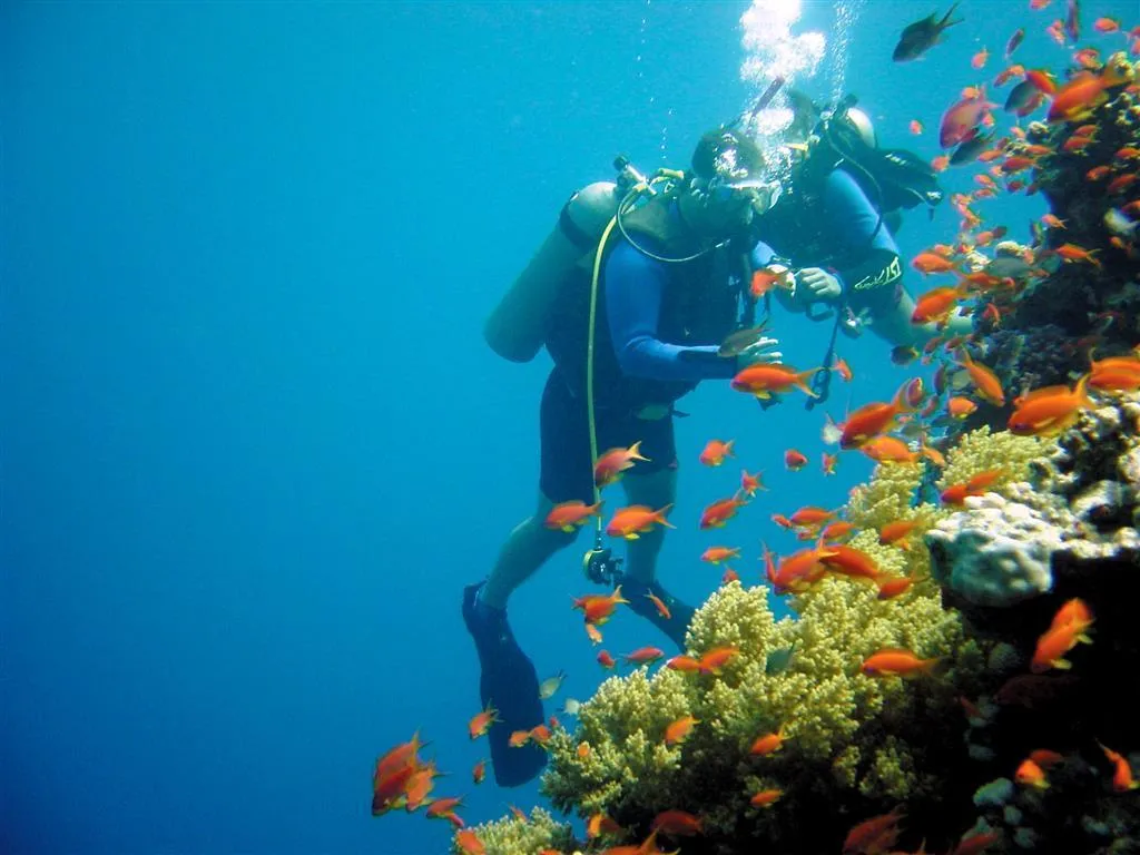 Sports and Entertainment, Sheraton Soma Bay, Red Sea Riviera