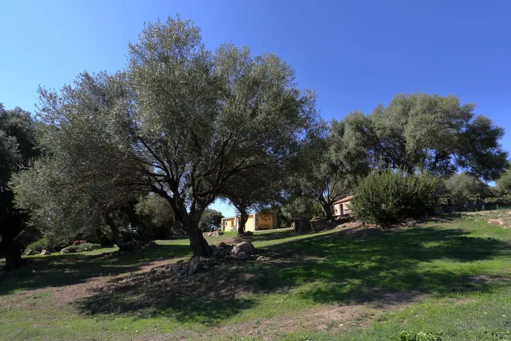 General view, Liscia Country Relais, Olbia