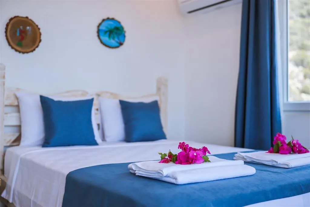 Room STANDARD Room, Alina Otel, Dalaman