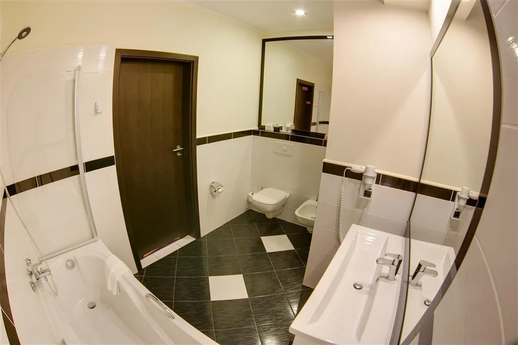 Room, BEST WESTERN PLUS Business Faltom Hotel, Gdansk