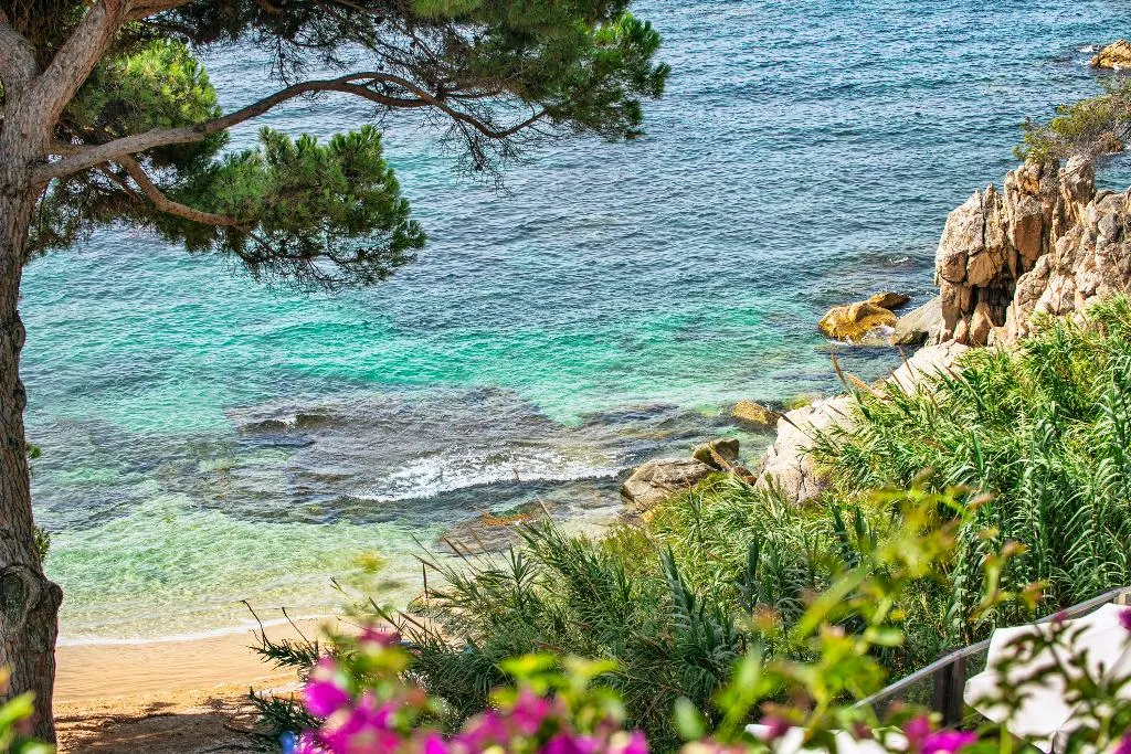 General view, Hote Cala del Pi Beach Retreat - ADULTS ONLY, Costa Brava