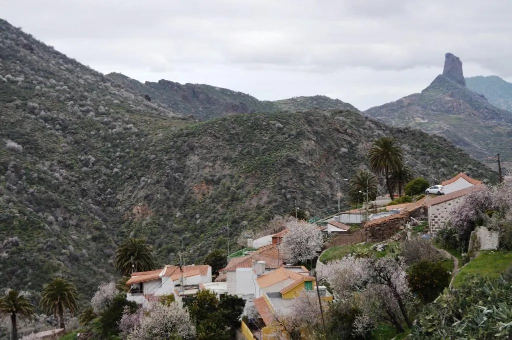 General view, Casa Rural Pepita De Las Flores, Gran Canaria