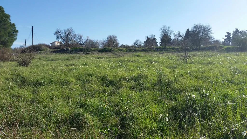 General view, Akamas Health Farm And Spa, Cyprus