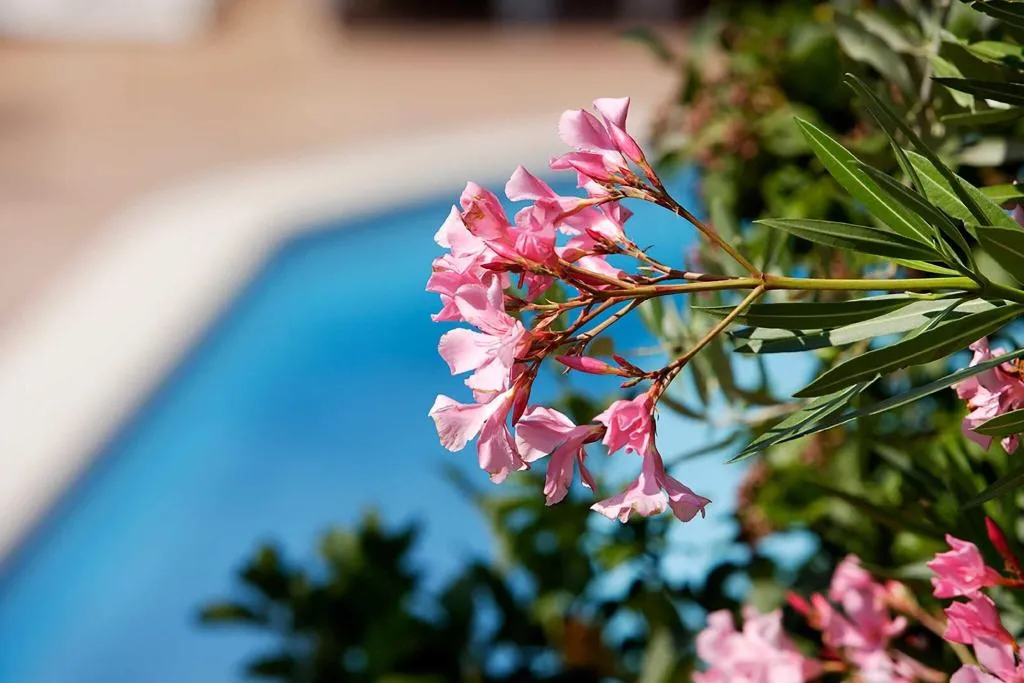 Pool, Hotel La Terrazza, Perugia