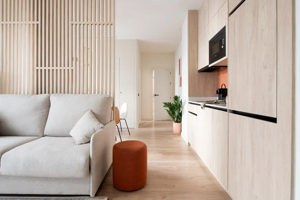 APARTMENT ONE BEDROOM Room, Libere Seville Plaza Nueva, Seville