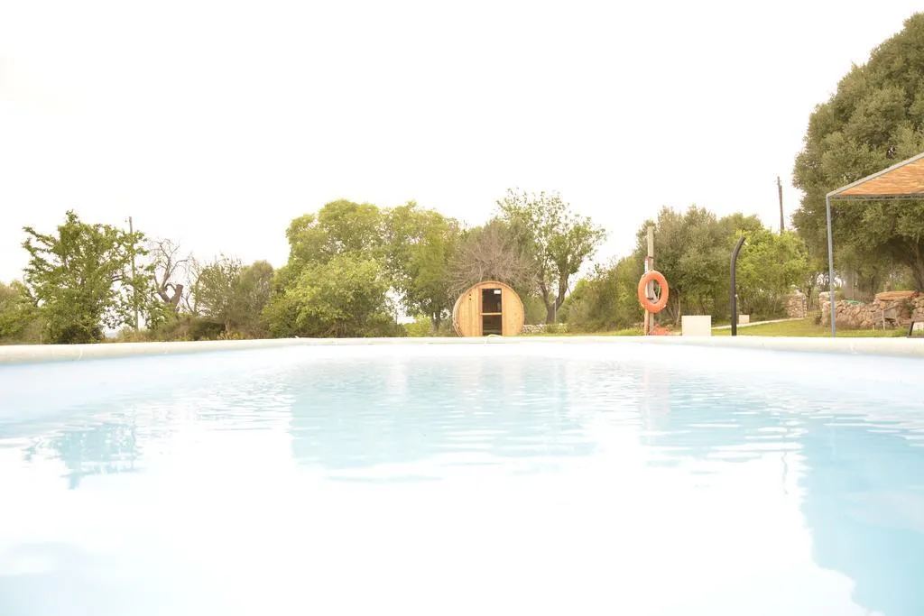 Pool, Finca Agroturismo Dalt Murada, Majorca