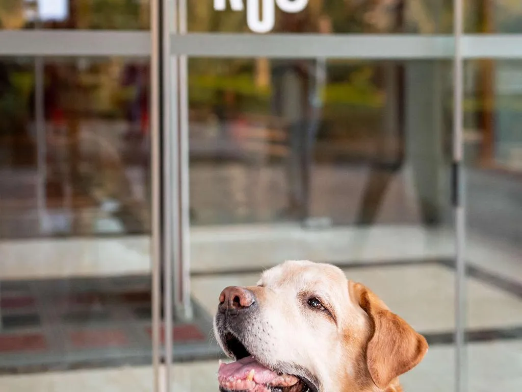 Sports and Entertainment, Ibis Alicante, Costa Blanca