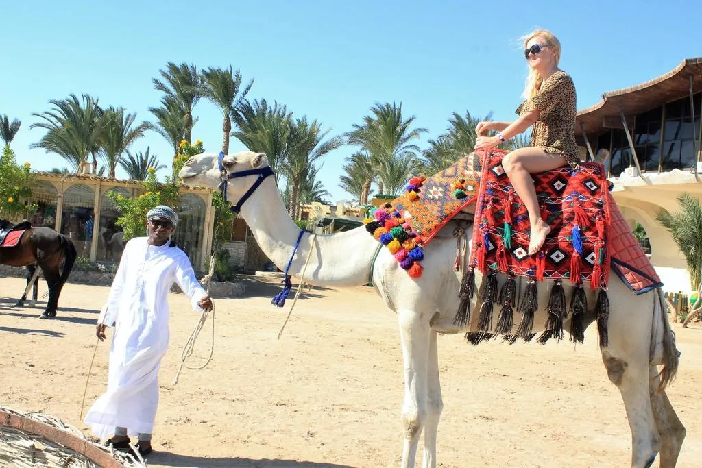 Sports and Entertainment, Magawish Village & Resort, Red Sea Riviera
