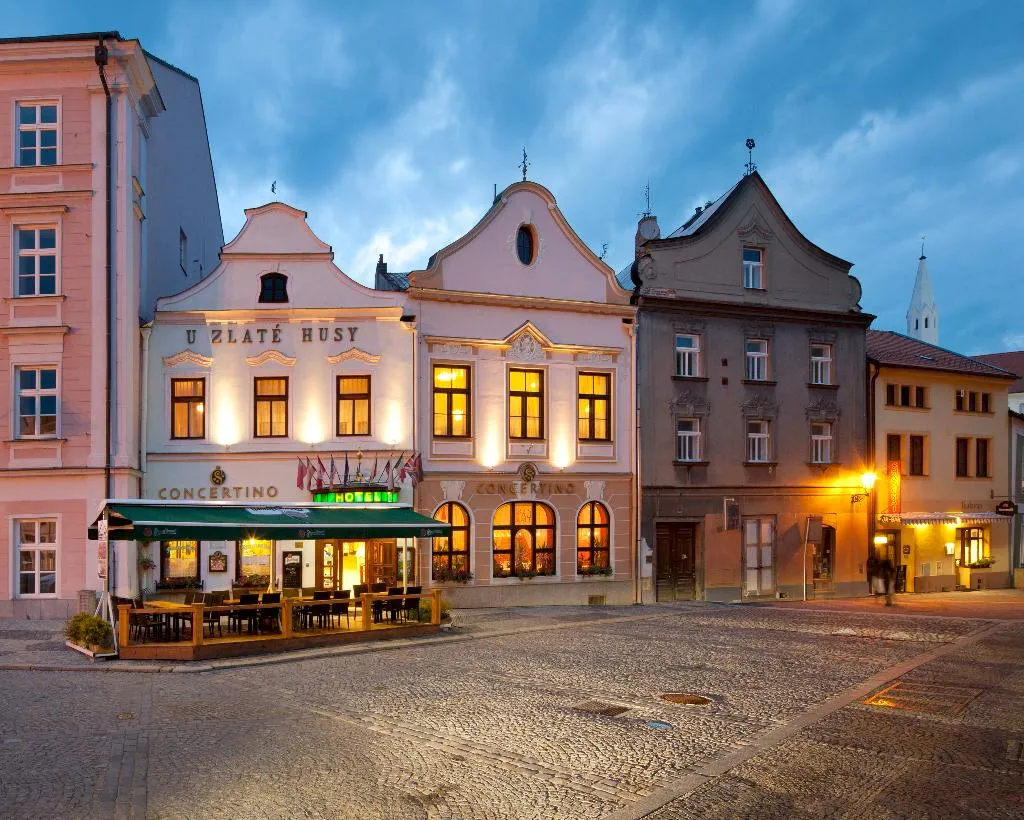 General view, Hotel Concertino Zlata Husa, Prague