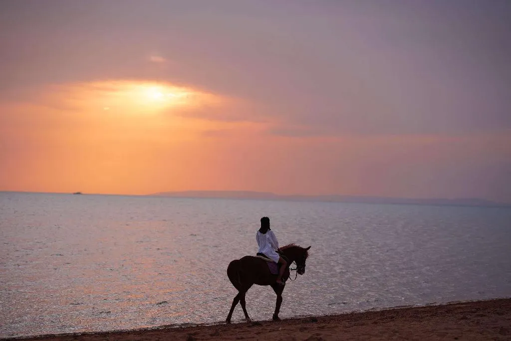 Sports and Entertainment, Club Paradisio El Gouna Red Sea, Red Sea Riviera