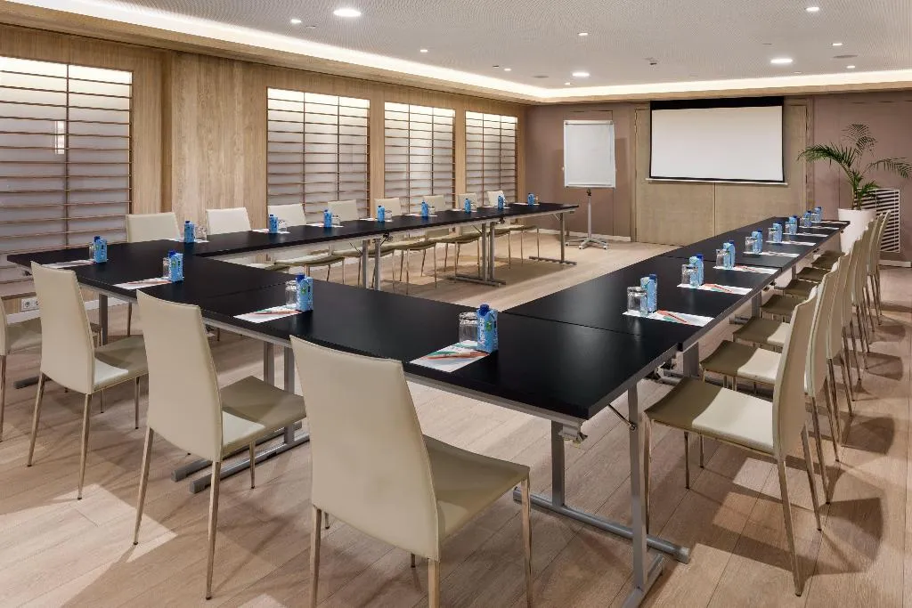 Conferences, Melia Castilla, Madrid