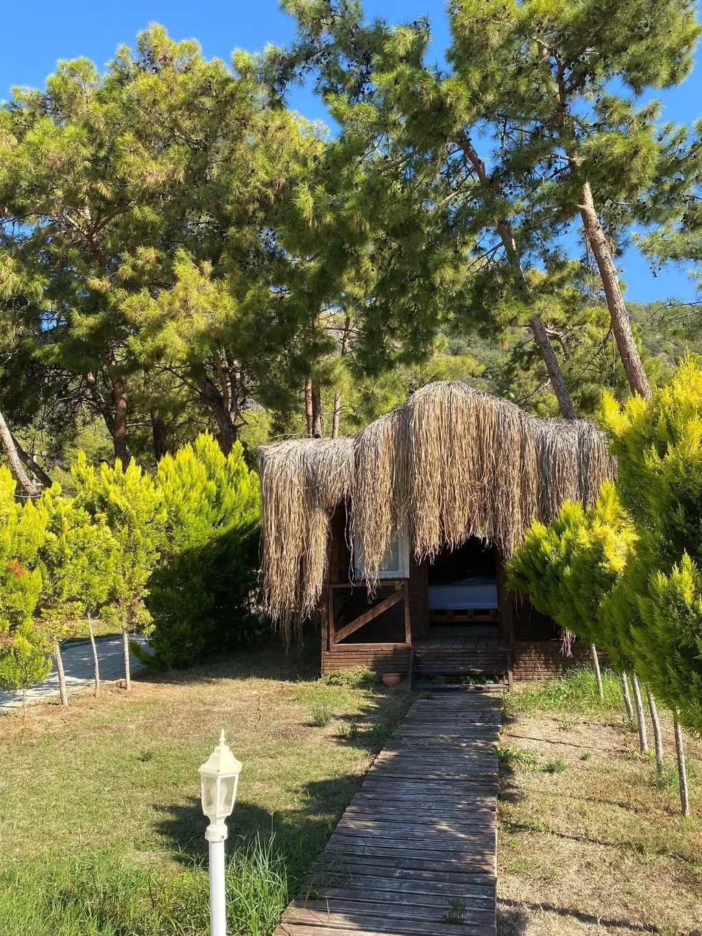 General view, Green Pine Beach & Bungalows Luxury Concept, Dalaman