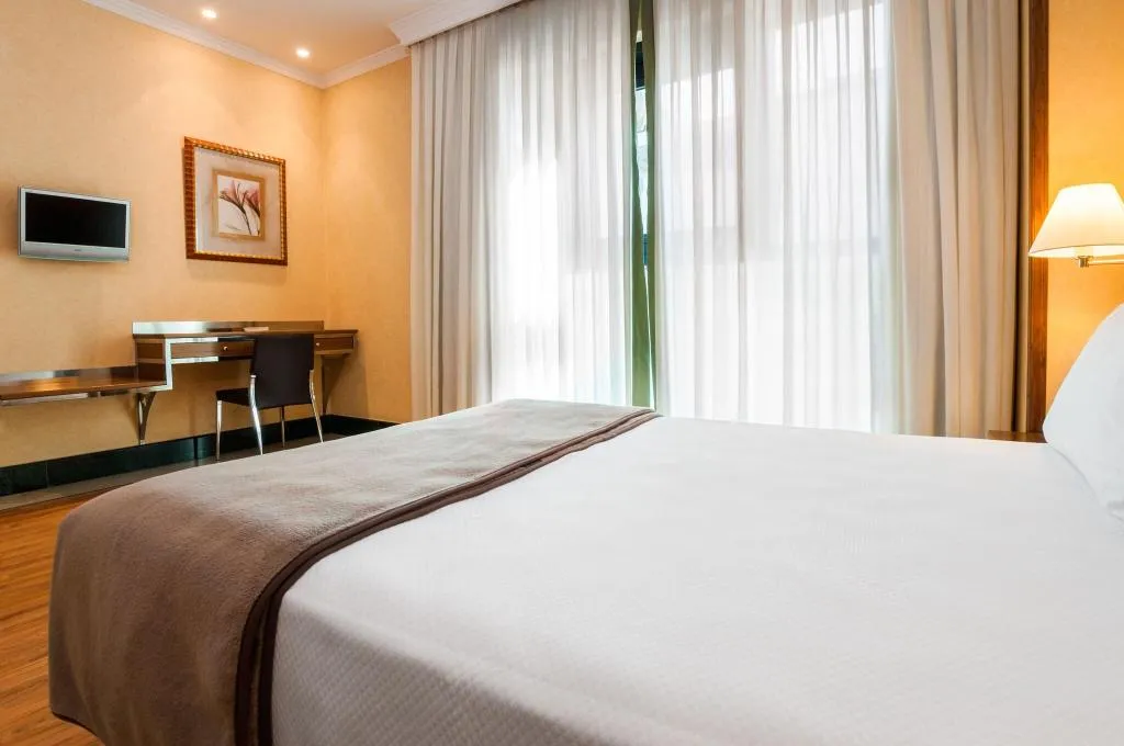 DOUBLE STANDARD Room, Hotel Julia, Madrid
