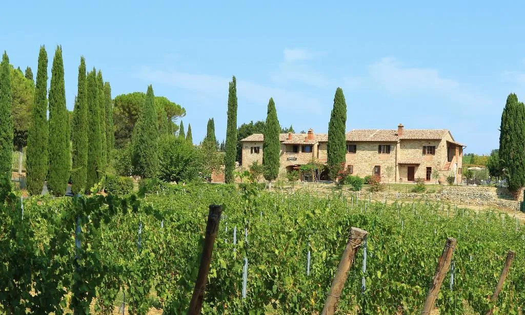 General view, Tenuta Sovestro, Florence