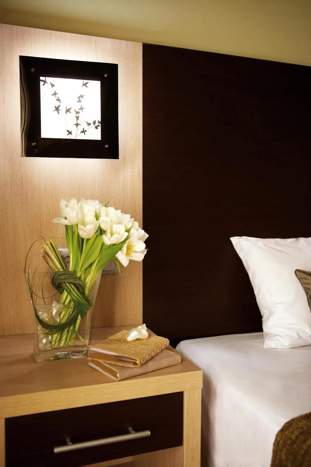 SINGLE STANDARD Room, Anessis, Halkidiki