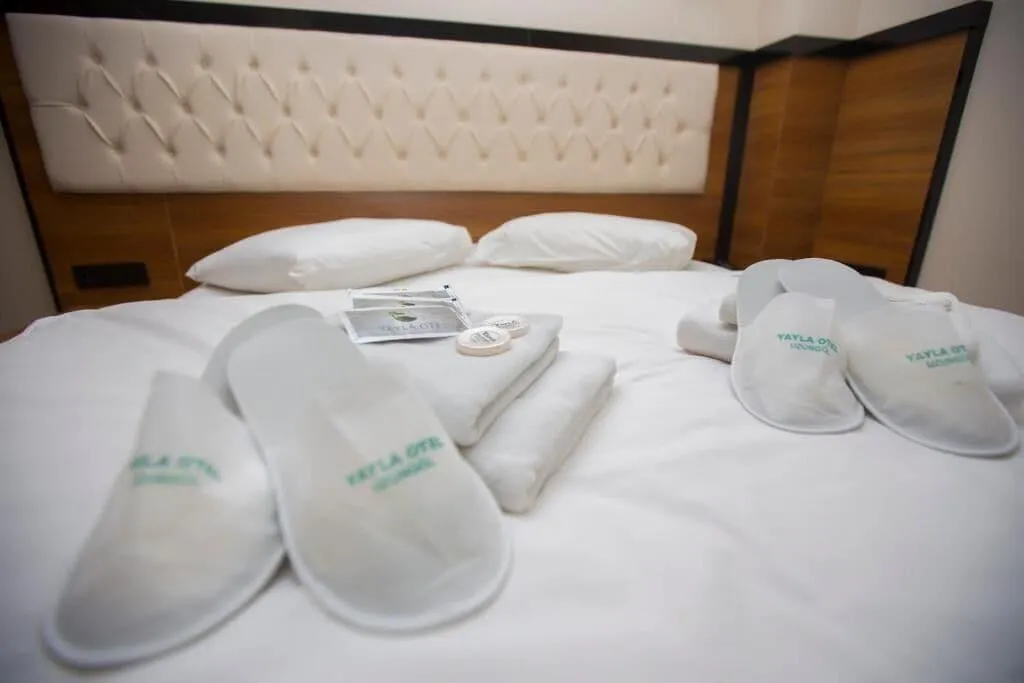 Room, Yayla Hotel, Izmir