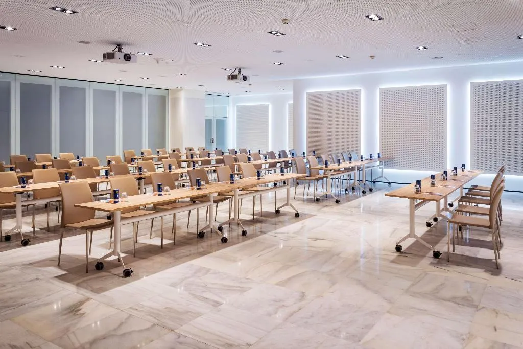 Conferences, Melia Lebreros, Seville