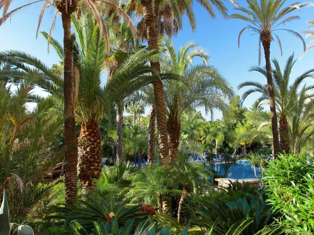 Double or Twin GARDEN VIEW Room, Ria Park Hotel and Spa, Algarve