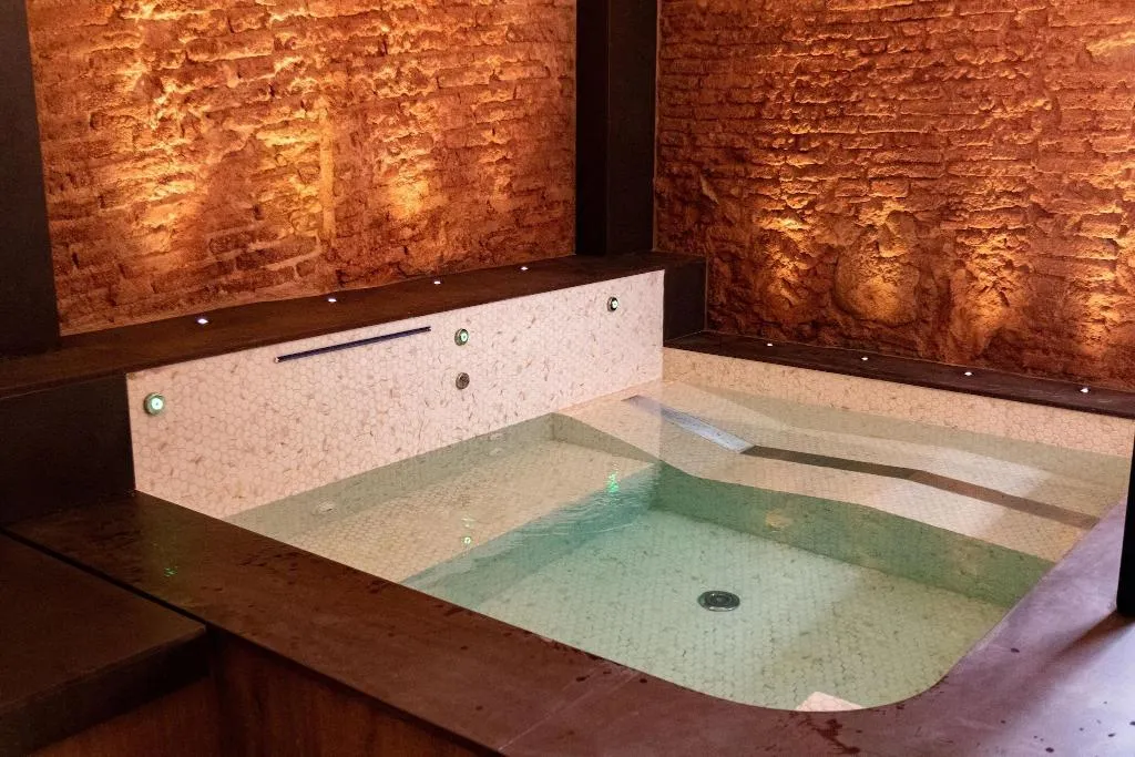 Pool, Hotel Sa Voga, Barcelona