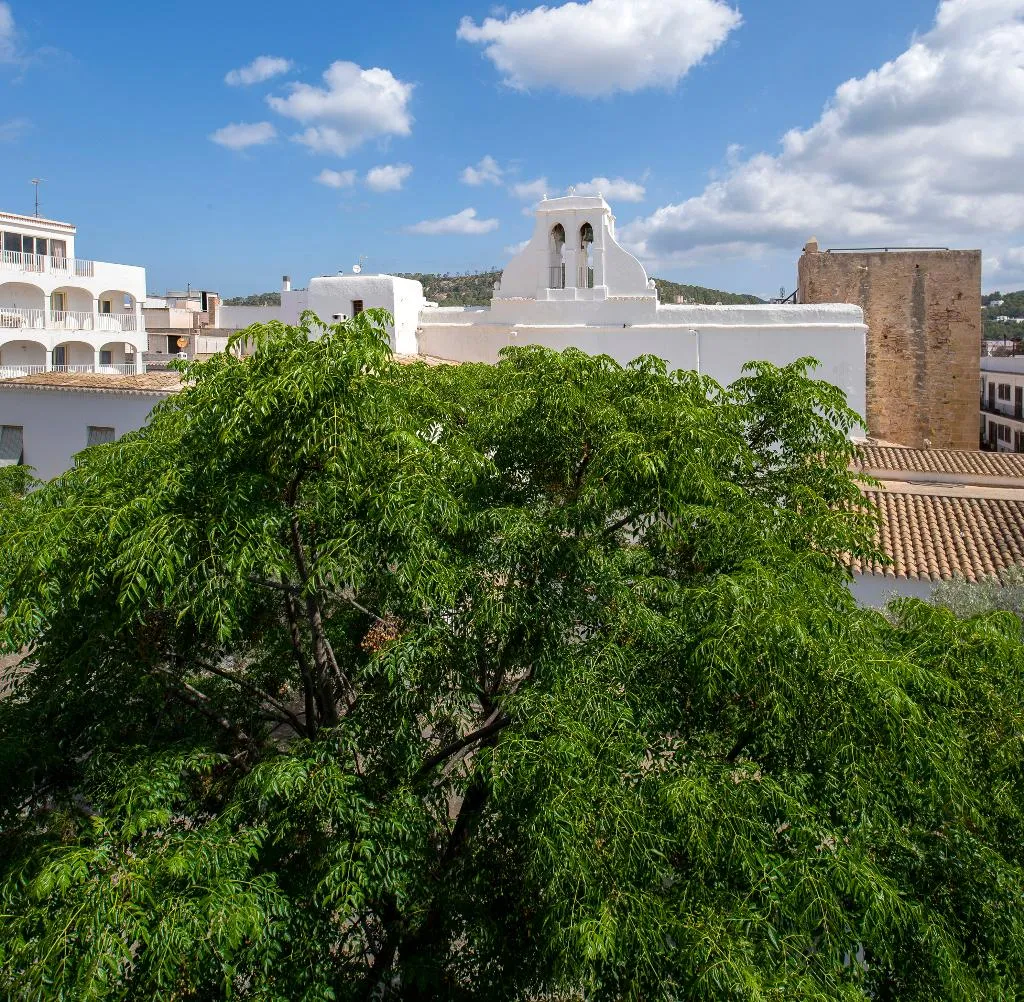 General view, Apartamentos Tramuntana, Ibiza