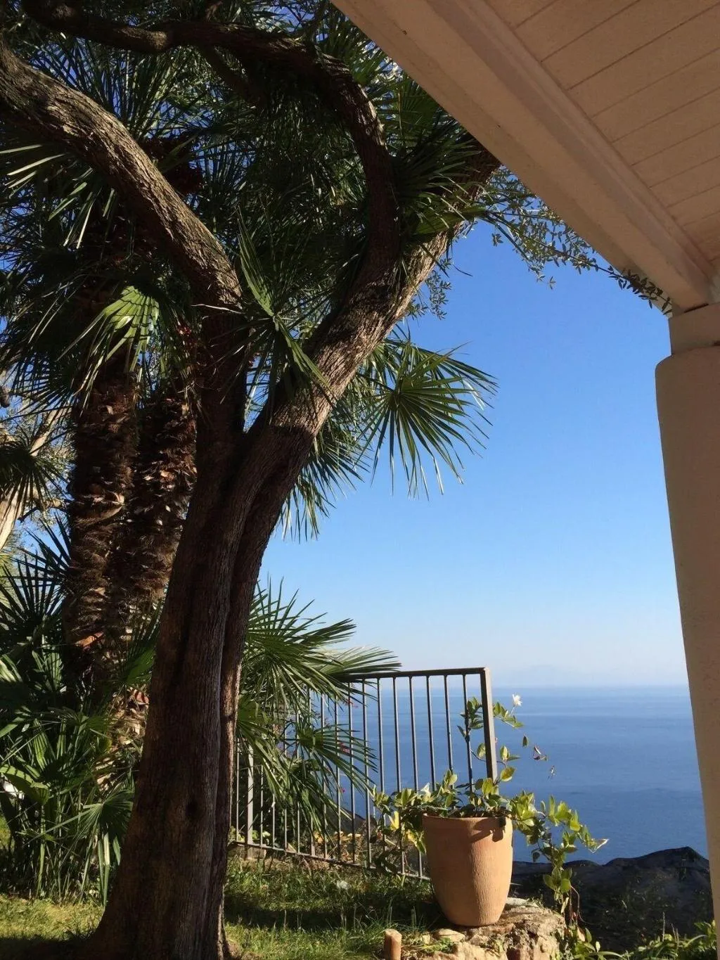 General view, B&B I Limoni, Naples