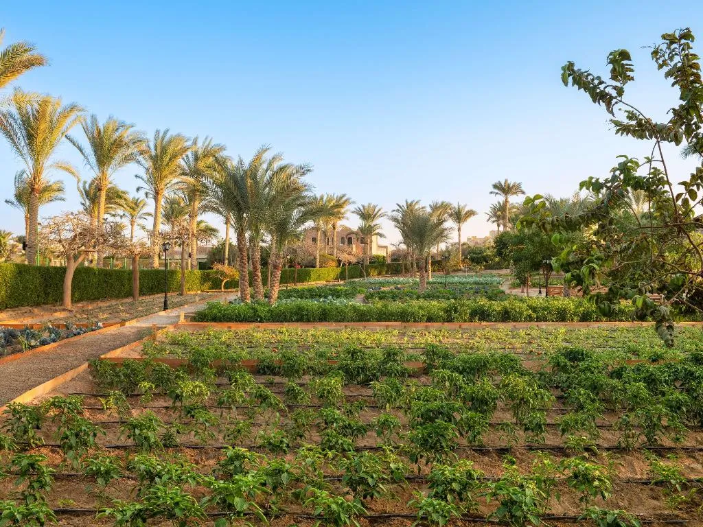 General view, Mövenpick Resort El Quseir, Red Sea Riviera