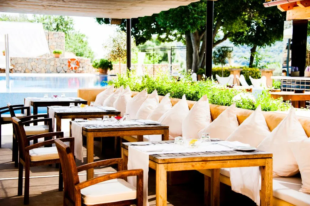 Terrace, Son Brull, Majorca
