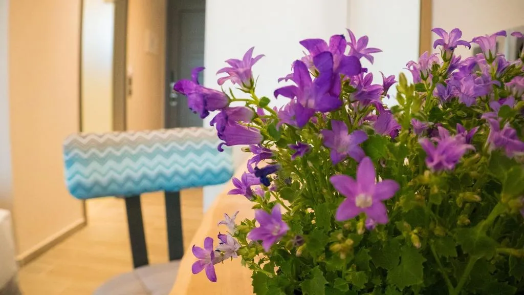 Room, Costa Domus Blue Luxury Apartments, Thessaloniki