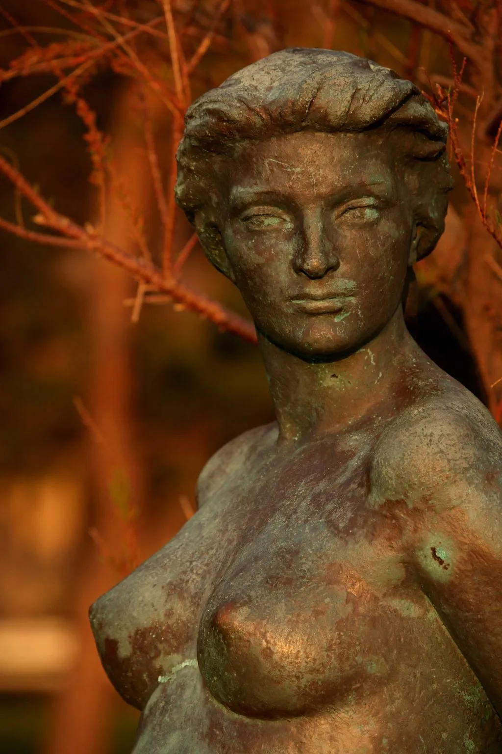 Sports and Entertainment, Brijuni Hotel Neptun, Istria