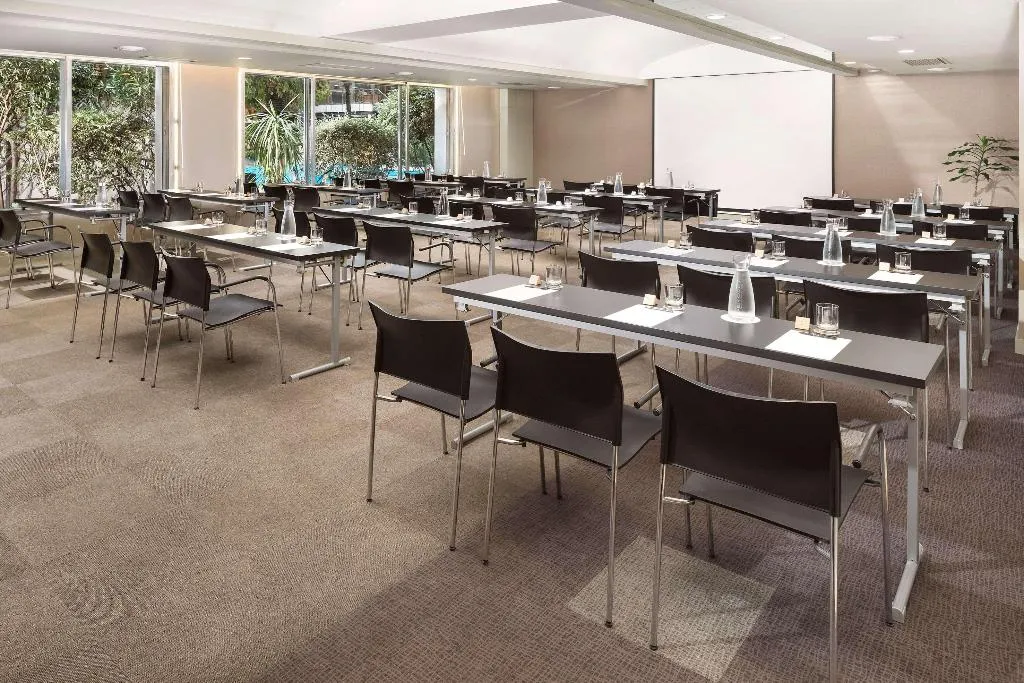 Conferences, Melia Castilla, Madrid