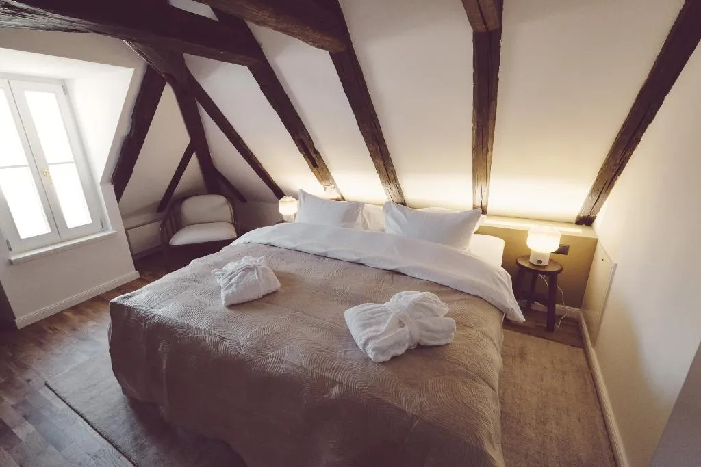 DOUBLE DELUXE Room, Domus Balthasar, Prague