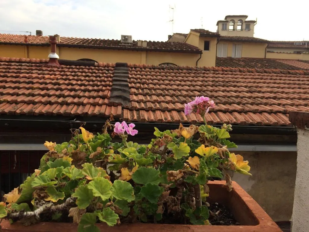 General view, Il Bargellino, Florence