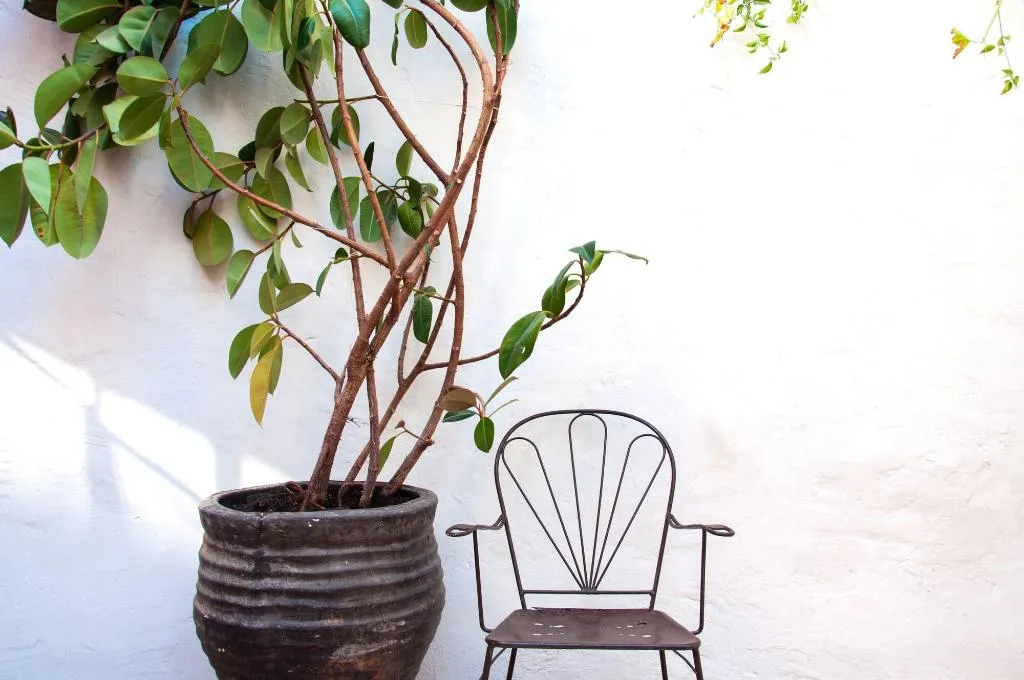 Terrace, Hotel Hanoi, Costa Brava