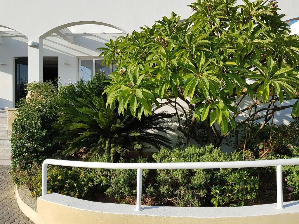 General view, Mantenia Hotel, Crete