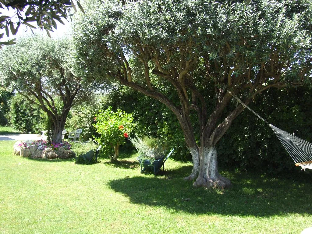 General view, Sokrates Studios, Rhodes