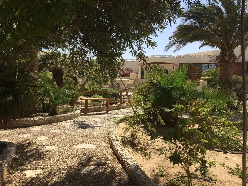 Terrace, Coral Beach Resort Hurghada, Red Sea Riviera