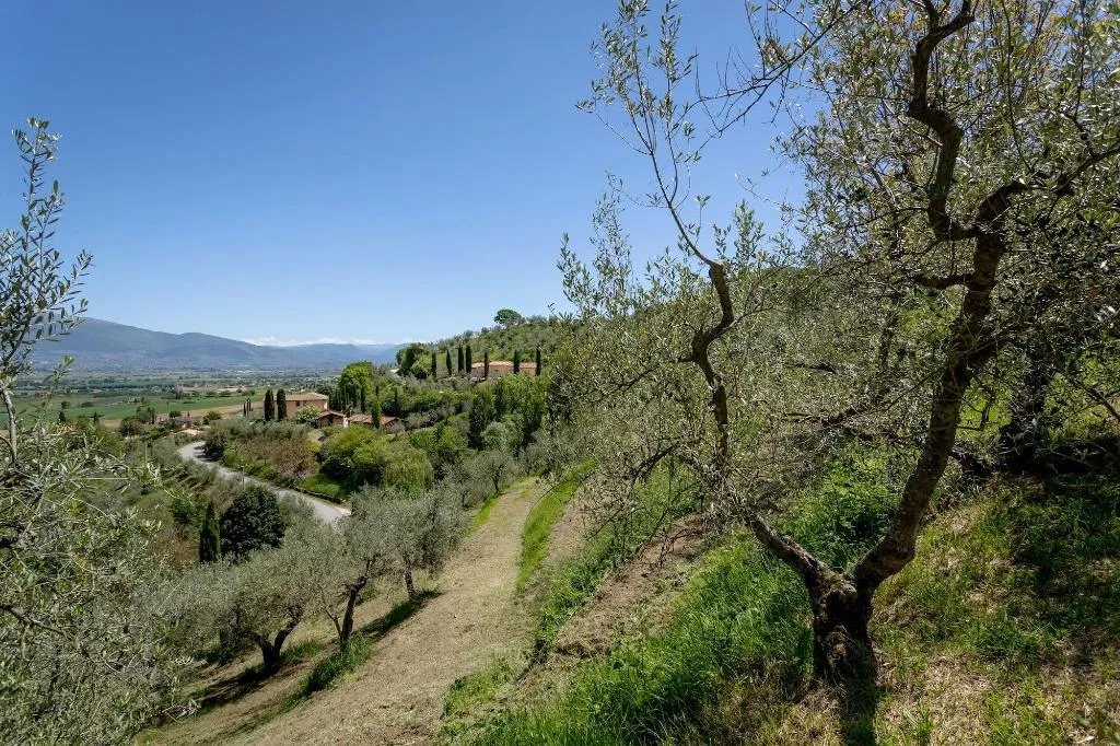 General view, Poggio Degli Olivi, Perugia