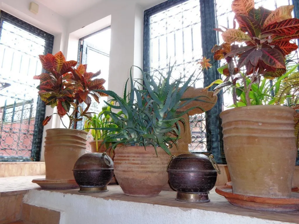 General view, Riad Sesame, Marrakech
