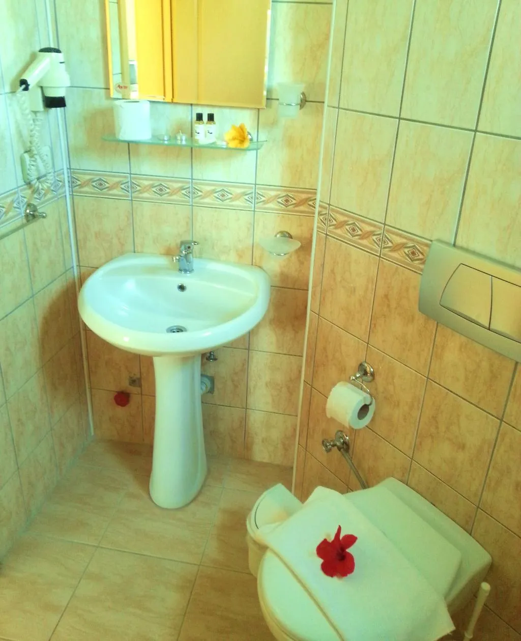 APARTMENT ONE BEDROOM Room, Summer Rose Hotel, Antalya