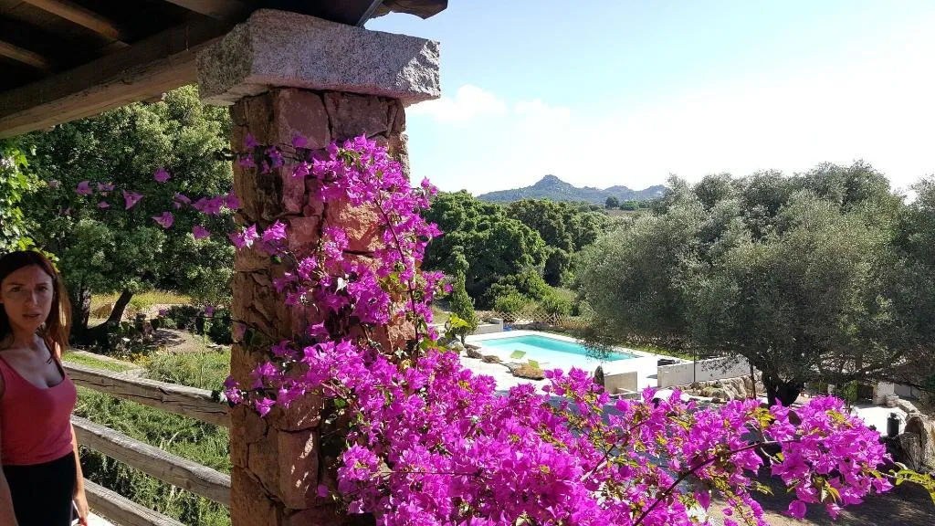 General view, Agriturismo Desole, Olbia