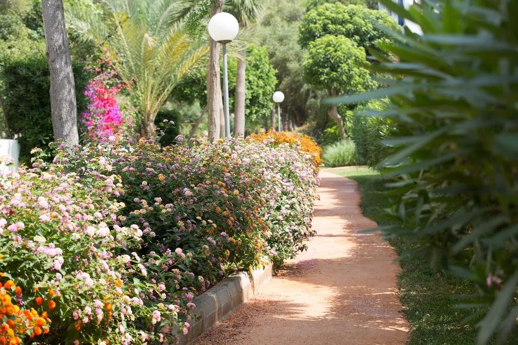 Terrace, Gavimar Cala Gran Costa Del Sur, Majorca