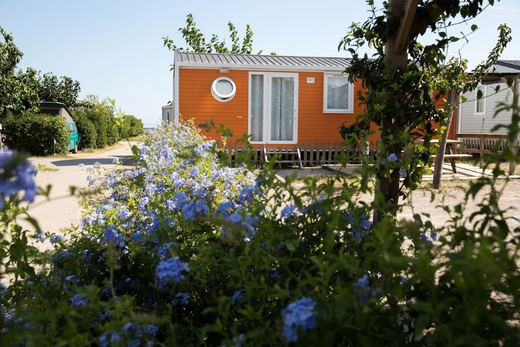 3 Estrellas Camping, Barcelona