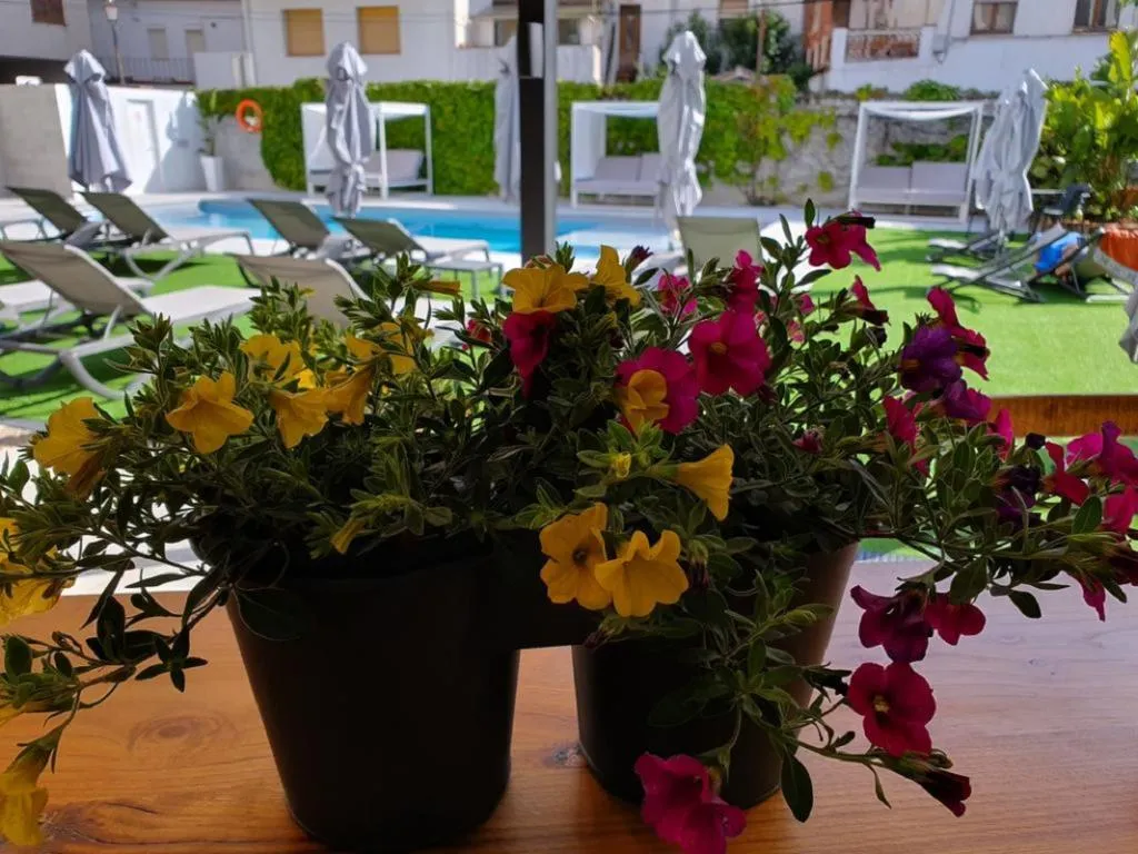 Terrace, Windsor, Costa Brava