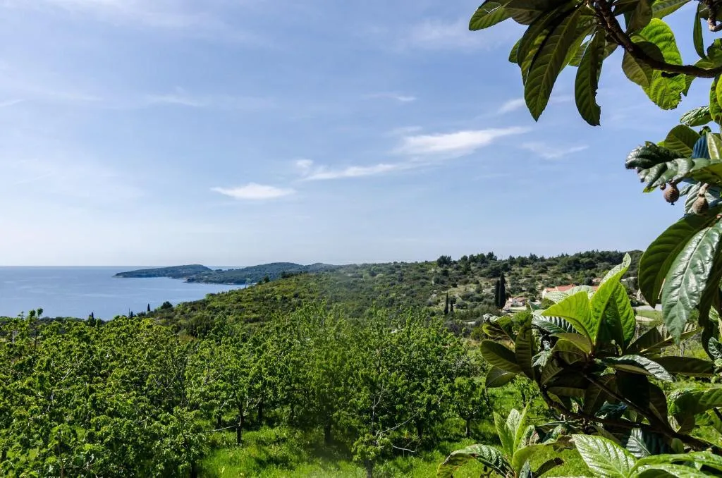 General view, Guesthouse Moretić, Dubrovnik
