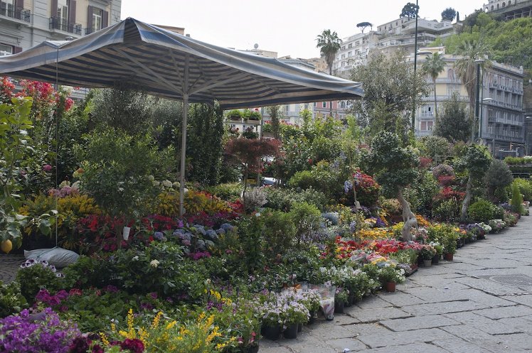 Areamare Bed and Breakfast Napoli, Naples