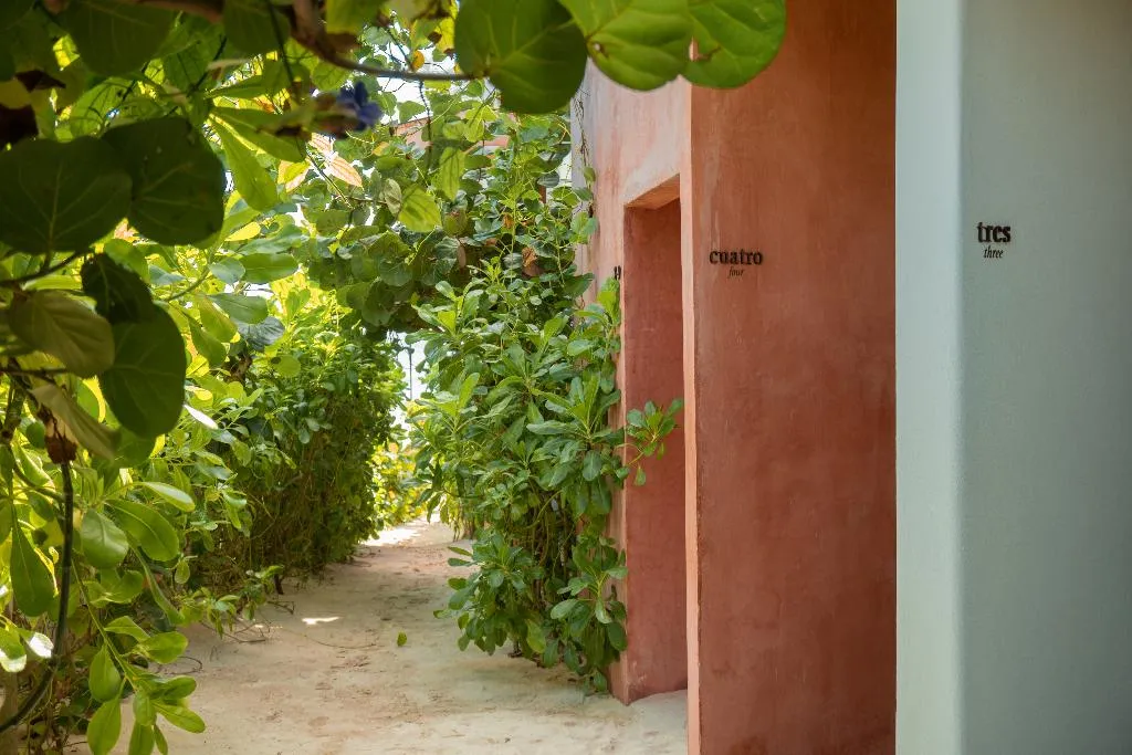 General view, Tago Tulum by G Hotels, Cancun Area