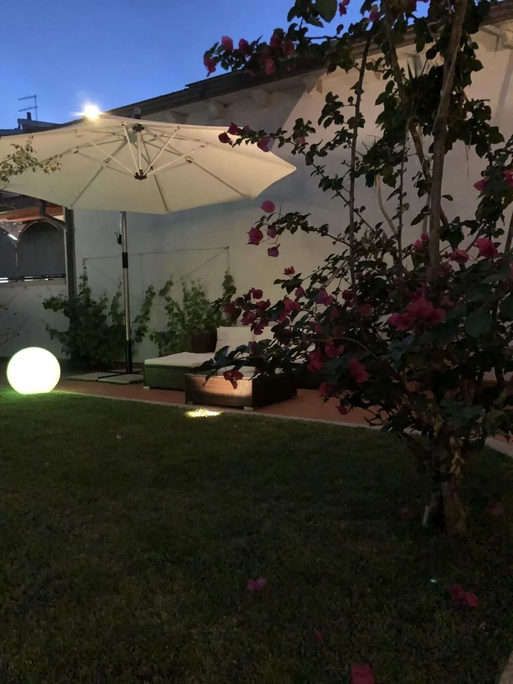 General view, City Garden Guest House, Olbia
